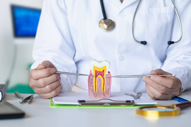 Best Tooth Infection Emergency Dentist  in Alma, GA